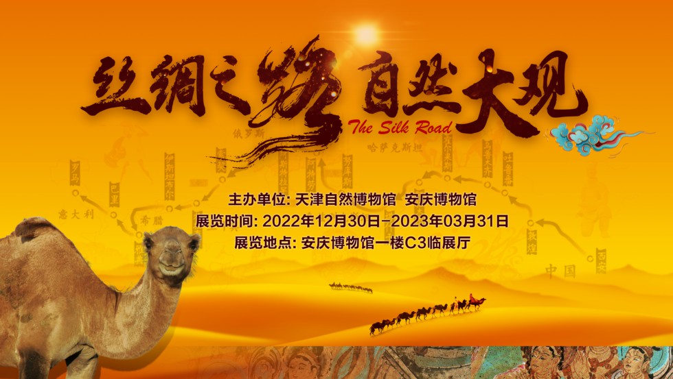 《丝绸之路 自然大观》即将开展